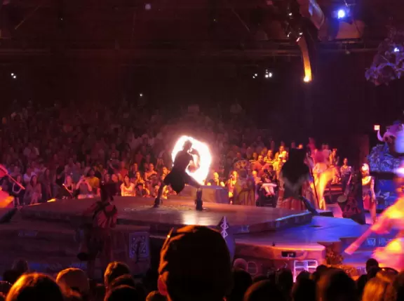 Lush theme park with African and Southeast Asian architecture- best for its two incredible shows and Pandora land.