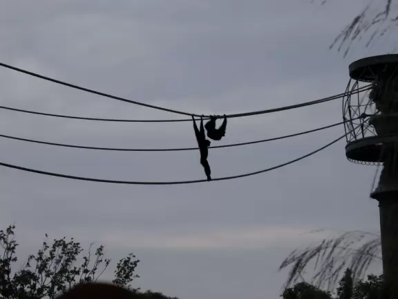 Lush theme park with African and Southeast Asian architecture- best for its two incredible shows and Pandora land.