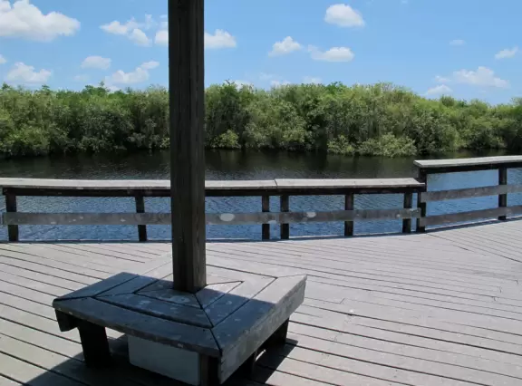 Tons of wildlife in this liquidy place!