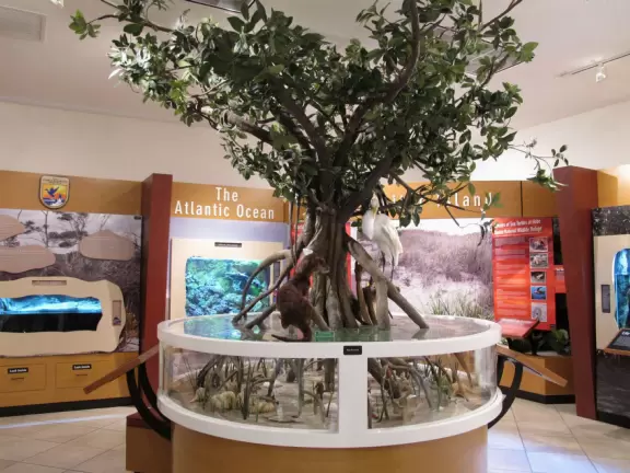 Gorgeous white sand beach on the Indian River Lagoon, plus nature center!