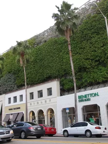 If you're looking for some excitement, head over to Ocean Drive!