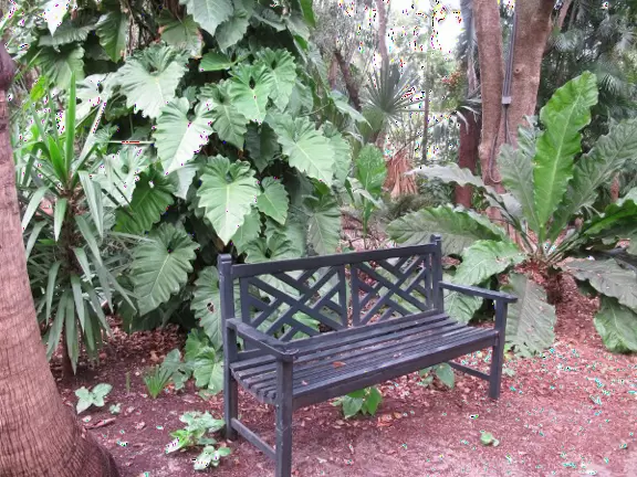Paradise of tropical palms and plants, with large ominous sculptures and an interesting artist's studio.