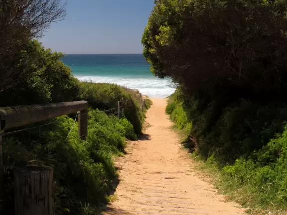 Windy beach with walking paths to high sand dunes and Barrenjoey lighthouse.
