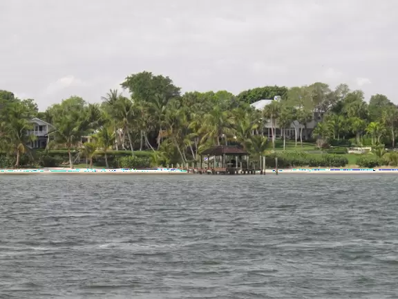 Pontoon boat tour in manatee pocket and around the islands, where you may see manatees, dolphins, and birds, plus mansions.