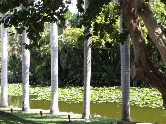Colorful plantation-style house with courtyard full of tropical palms and orchids, lovely architecture, and lagoon with giant banyan tree.