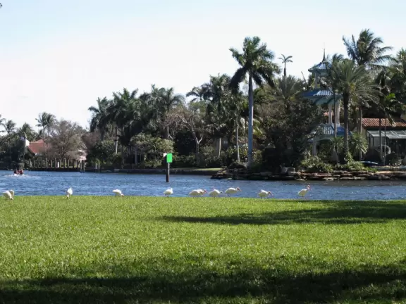 Peaceful park with old trees, shady lawn, and views of the water and mansions.