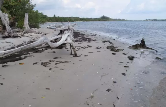 Gorgeous white sand beach on the Indian River Lagoon, plus nature center!