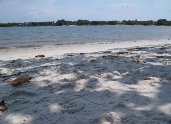 Gorgeous white sand beach on the Indian River Lagoon, plus nature center!