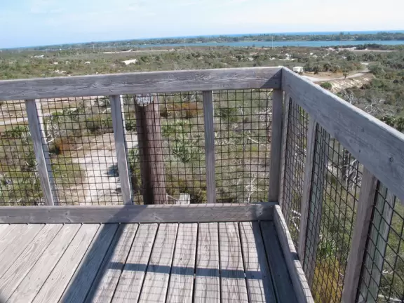 <a href="../Palm_Beach/Tequesta_town.html" target="_blank" rel="noopener"></a>Beautiful scenery- otherworldly tree stumps and pine scrub, then pine forest, then mangroves, then river jungle.