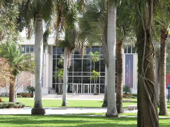 A lively, fun university with plenty to do and nice ocean breezes.