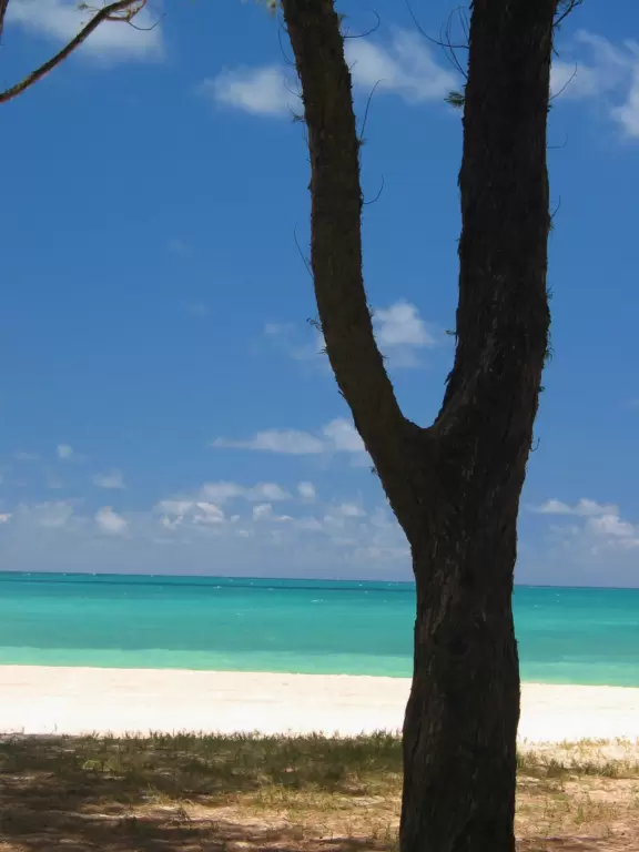 Shady white sand beach with aquamarine waters and ironwood forests.