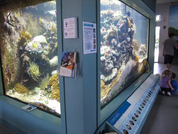 Beautiful area with white sand beach on turquoise river, playground, and small well-cared-for aquarium.