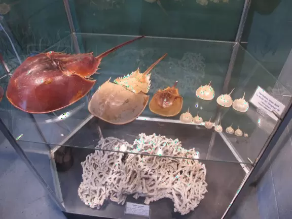 Beautiful area with white sand beach on turquoise river, playground, and small well-cared-for aquarium.