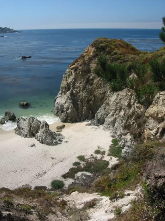 A stunning white-sand cove with clear green-blue waters, baby seals, and cliffs covered in flowers.