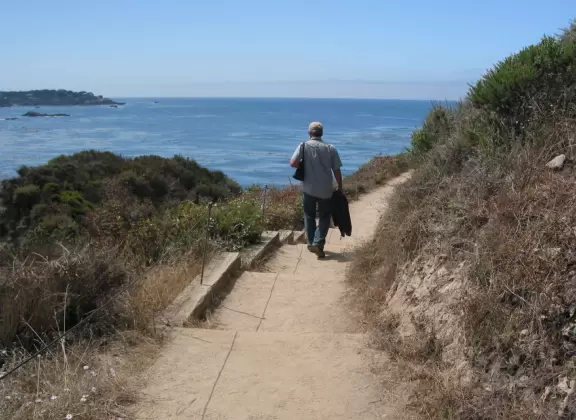 A stunning white-sand cove with clear green-blue waters, baby seals, and cliffs covered in flowers.