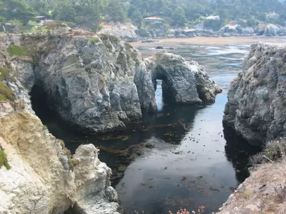 A stunning white-sand cove with clear green-blue waters, baby seals, and cliffs covered in flowers.