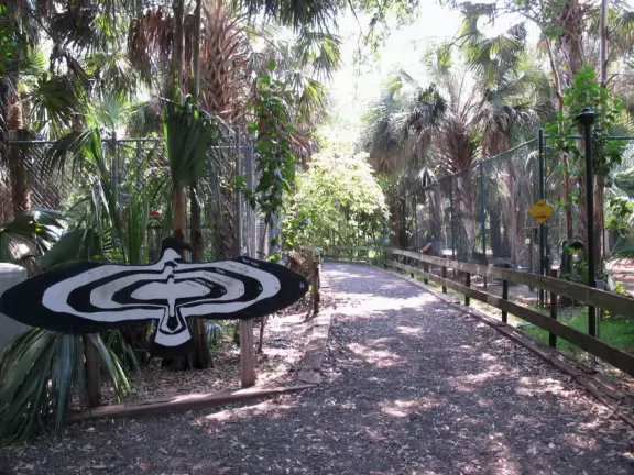 Walk through pine forest and gorgeous cypress marsh while seeing injured or orphaned animals.