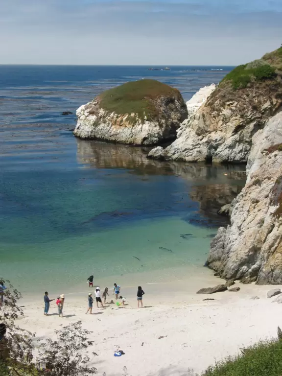A stunning white-sand cove with clear green-blue waters, baby seals, and cliffs covered in flowers.
