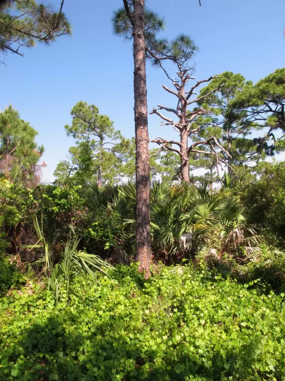 Cambridge Neighborhood Playground has a ton of fun stuff to do, making it easy for kids to start a game with other kids.