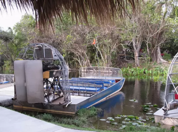 Quirky airboat tour among mangroves and sawgrass where you most likely see alligators and birds.