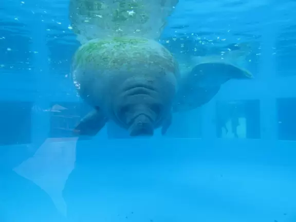 Concrete jungle aquarium with only one nice area- we did not enjoy ourselves here.