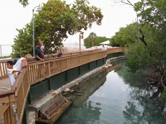 Concrete jungle aquarium with only one nice area- we did not enjoy ourselves here.