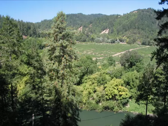Canoe down the lazy Russian River, passing majestic redwoods and sunny hills covered in vineyards.