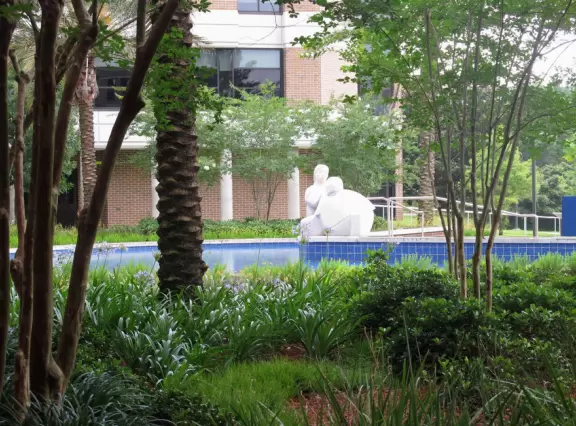 Campus surrounded by gorgeous tropical jungle, with plenty of fun things to do and a great location by Jacksonville and the coast.
