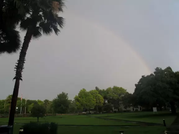 Walk through a paradise of old oak trees strung with moss. The new Marine Science building is gorgeous, but the older buildings are unattractive and musty.