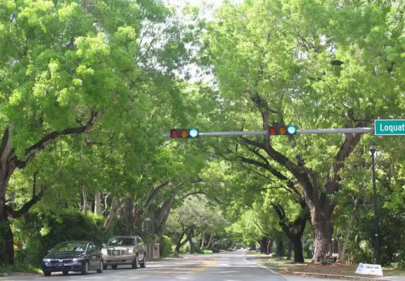 Enjoy lush tropical area that make you feel like you're in Hawaii!