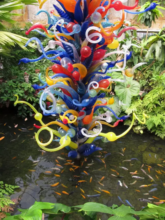 Enjoy lush tropical area that make you feel like you're in Hawaii!