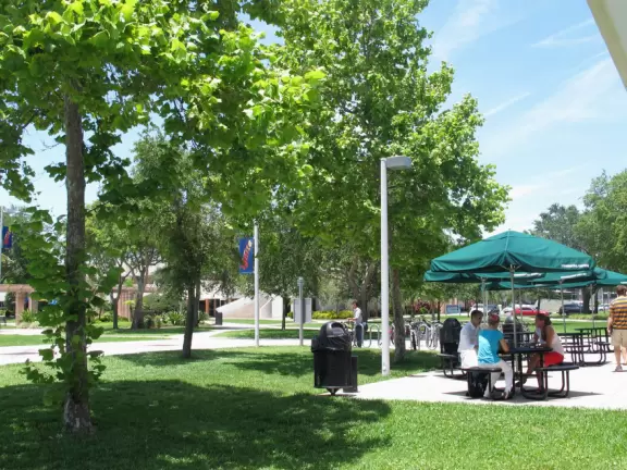 Paradise for airplane geeks and other techies! Where most commercial pilots are trained.