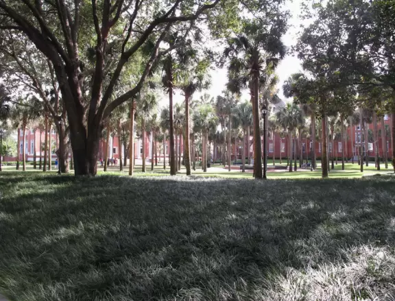 Gorgeous red-brick buildings amongst old trees and palm gardens, a few blocks from DeLand's main strip.