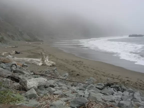 Stunning, foggy grey-sanded beaches with wild deadly surf and high headlands.