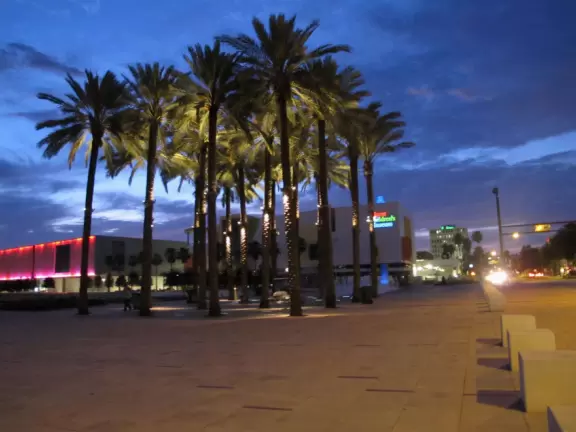 Waterfront stroll, especially gorgeous at night. Admire the silver minarets of the University of Tampa.