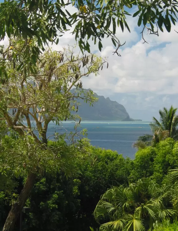 Great views of pristine mountains and multi-hued blue waters below.