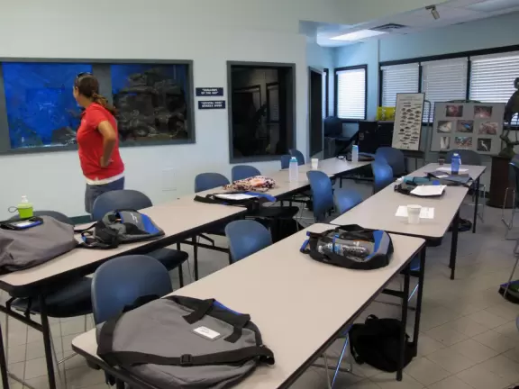 Tiny public honors college in Ringling's former estate on the bay.