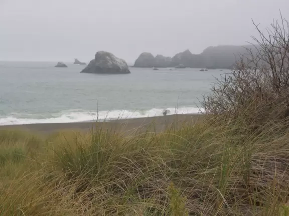 Stunning, foggy grey-sanded beaches with wild deadly surf and high headlands.