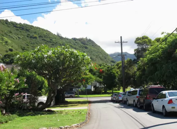 There's a wonderful feel in Manoa town.