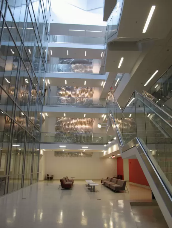 Large Southern-feeling university with a great in-state tuition program for out-of-state students, and a circus!