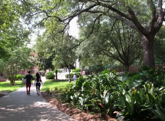 Large Southern-feeling university with a great in-state tuition program for out-of-state students, and a circus!