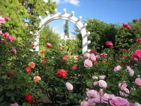 Peaceful, small gardens with every plant you could want in a garden!
