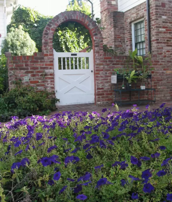 Peaceful, small gardens with every plant you could want in a garden!
