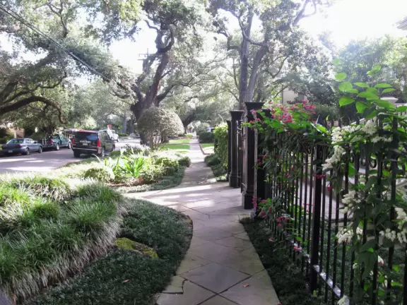 Gorgeous street under a canopy of giant oak trees with 19th c. Southern mansions and plenty of cute ethnic restaurants nearby.