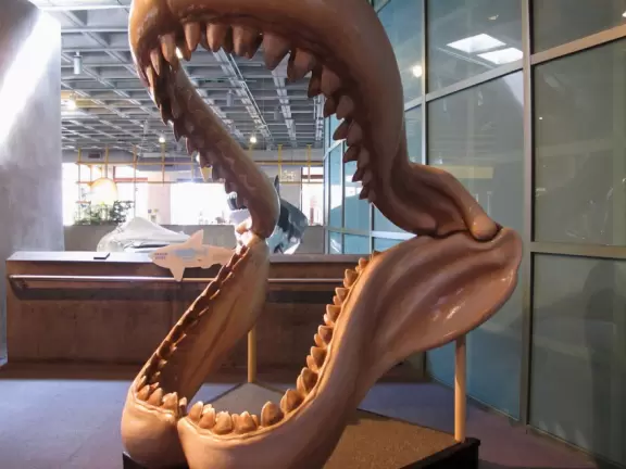 Claustrophobic aquarium with great outdoor exhibit where you can feed parakeets.