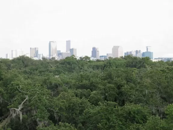 An old-fashioned amusement park amongst gorgeous moss-draped giant oaks.
