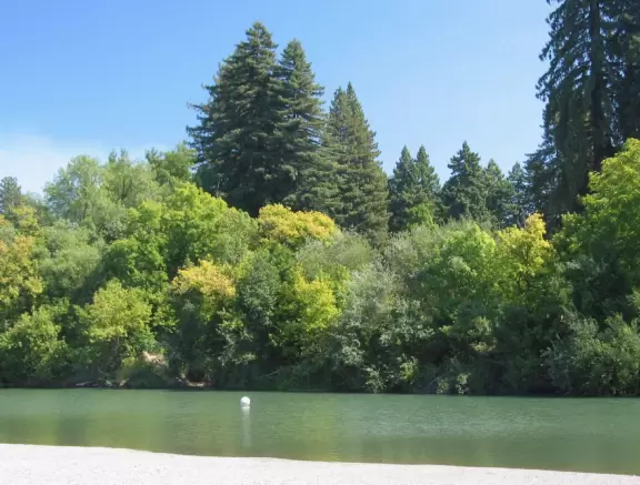 A wide, pebbly shore where you can enter the Russian River on kayak or paddleboat, have a beer, or walk the historic Guerneville Bridge.