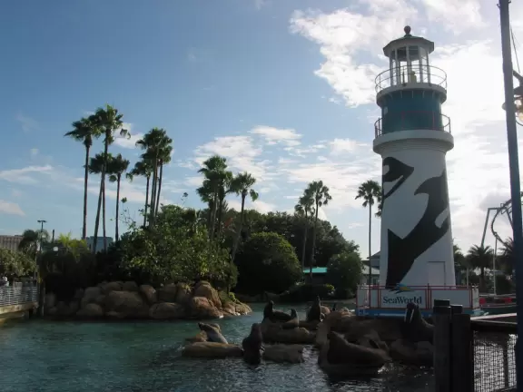 Beautiful park with great rollercoaster rides and amazing aquariums.