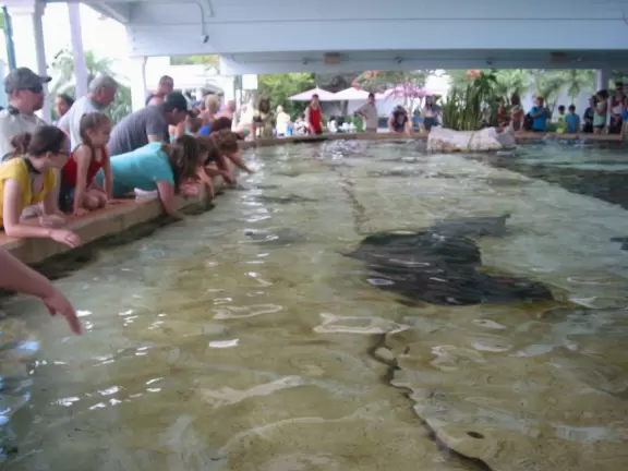 Beautiful park with great rollercoaster rides and amazing aquariums.