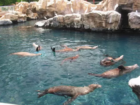 Beautiful park with great rollercoaster rides and amazing aquariums.